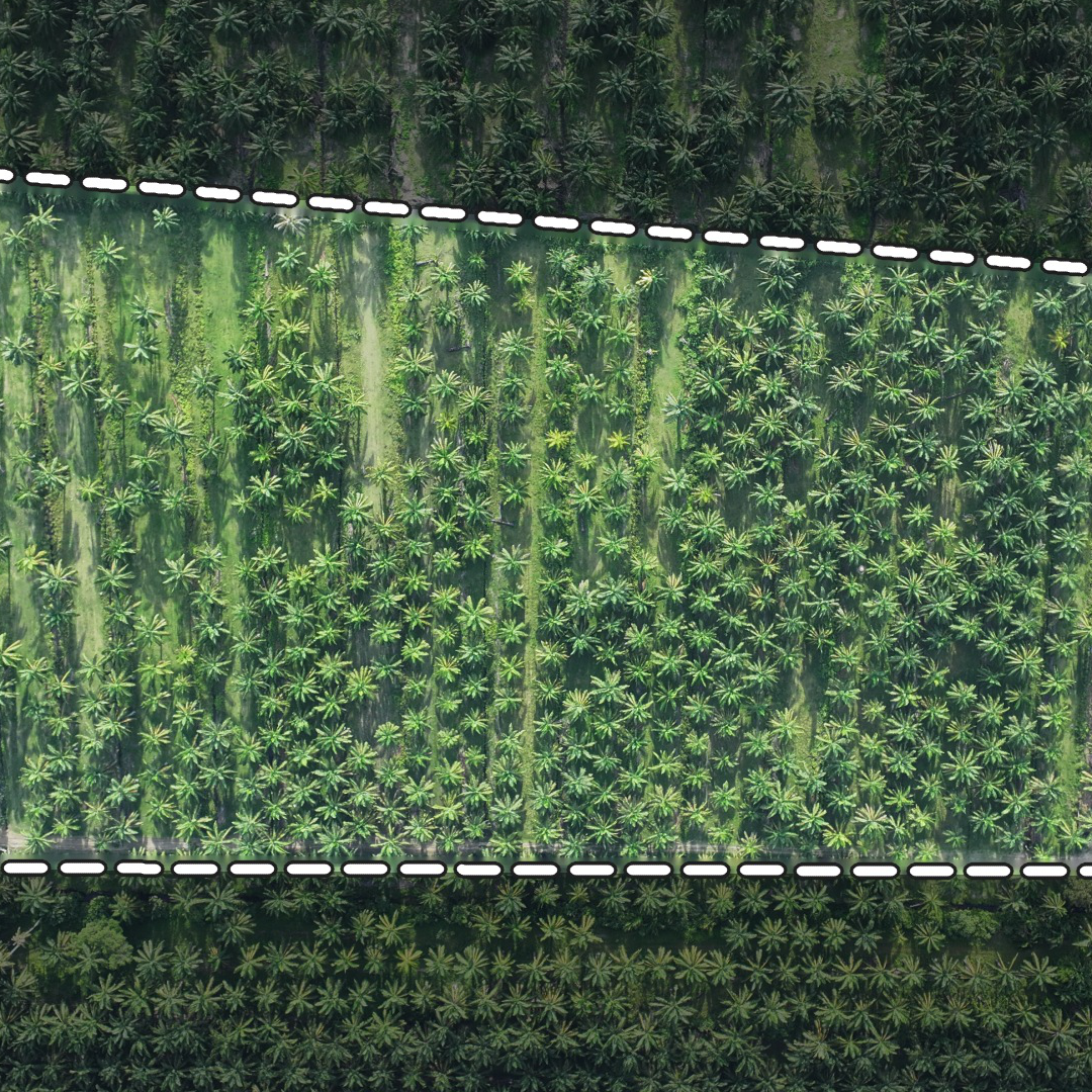 长方形地块