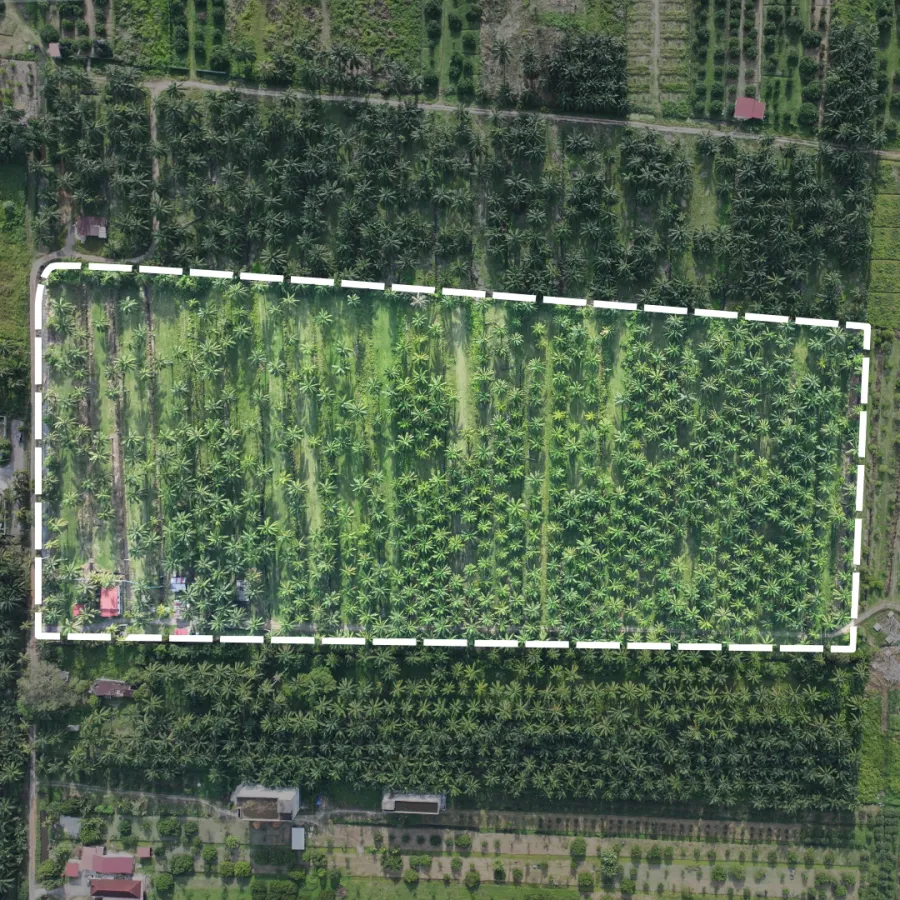 航拍实景，白线标出 9.67 EKAR 地界