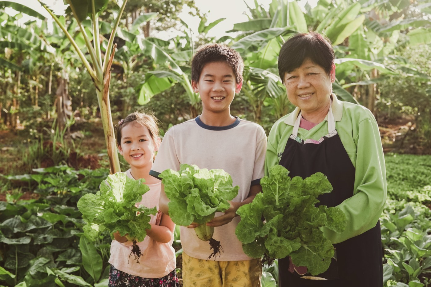 Grandmother and grandchildren harvesting together